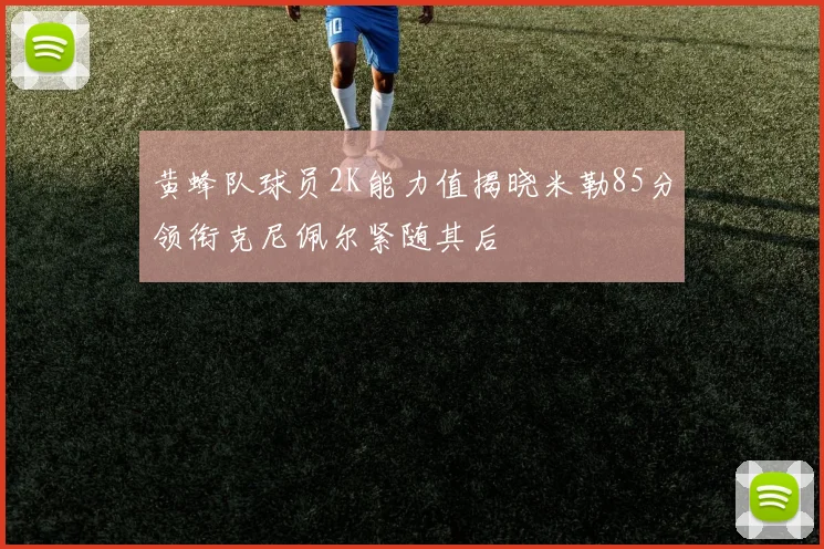 黄蜂队球员2K能力值揭晓米勒85分领衔克尼佩尔紧随其后