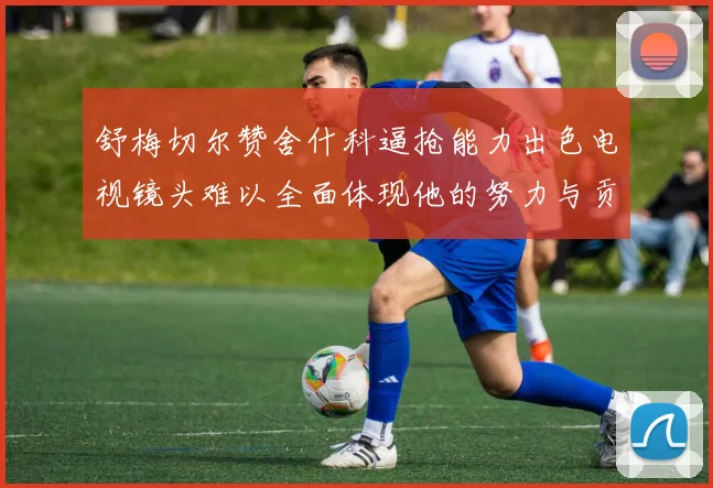 舒梅切尔赞舍什科逼抢能力出色电视镜头难以全面体现他的努力与贡献