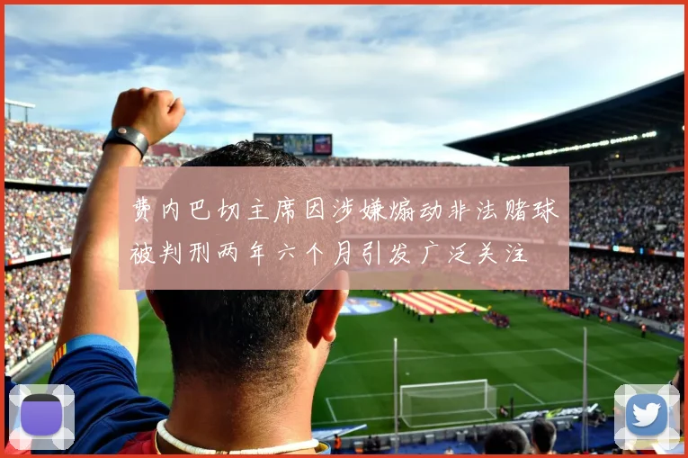 费内巴切主席因涉嫌煽动非法赌球被判刑两年六个月引发广泛关注